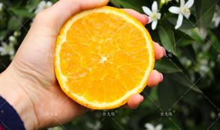 橙花有什么形容词